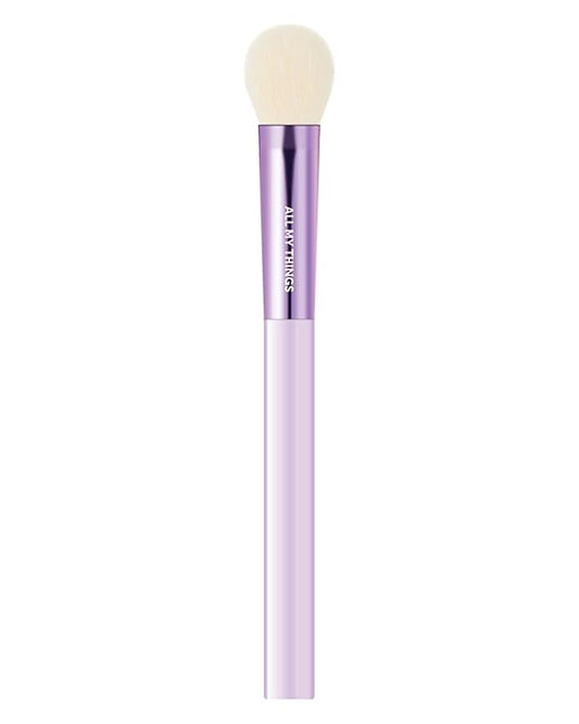 AMTSOfficial Blush – AMTS Face Blush Brush for Professional Quality Precision Makeup Application