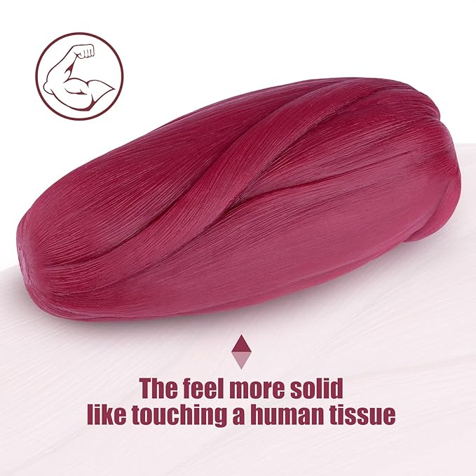 Top Pick – Human Body Muscle Replica Model - 5 lb